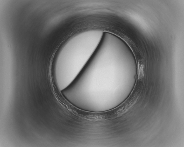 X0000113320435200909140950