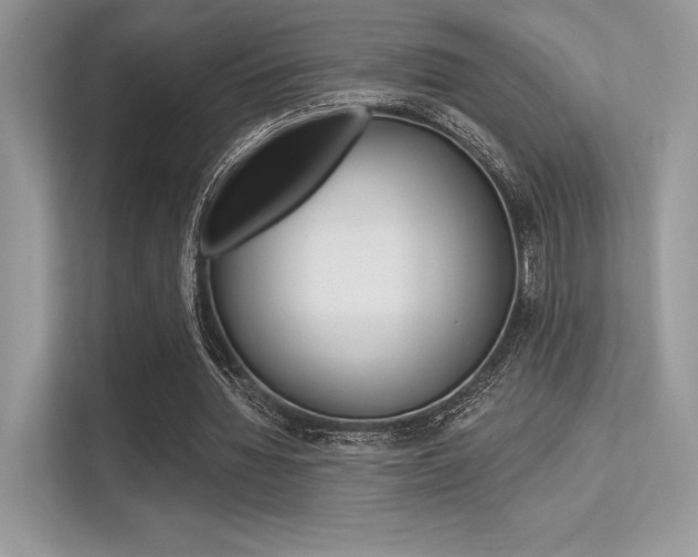 X0000113320436200909140950