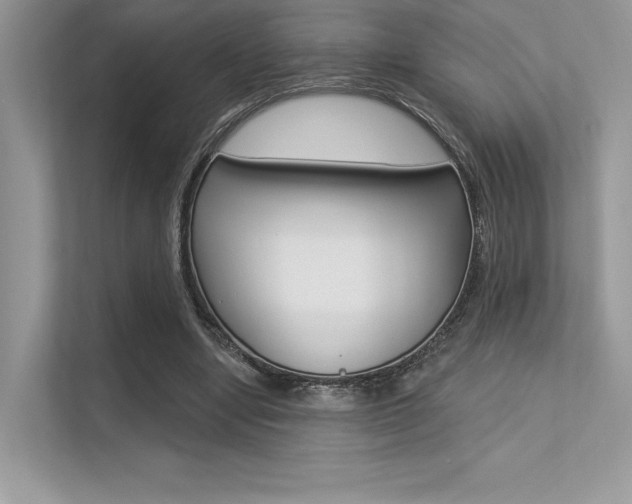 X0000113320442200909140950