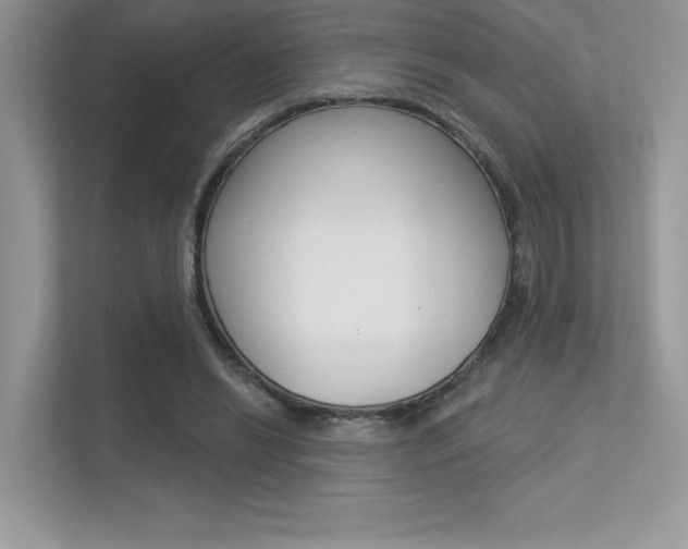 X0000113320446200909140950