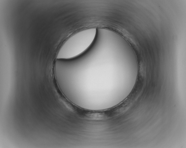 X0000113320449200909140950