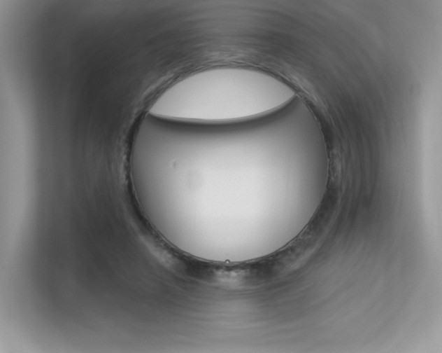 X0000113320450200909140950