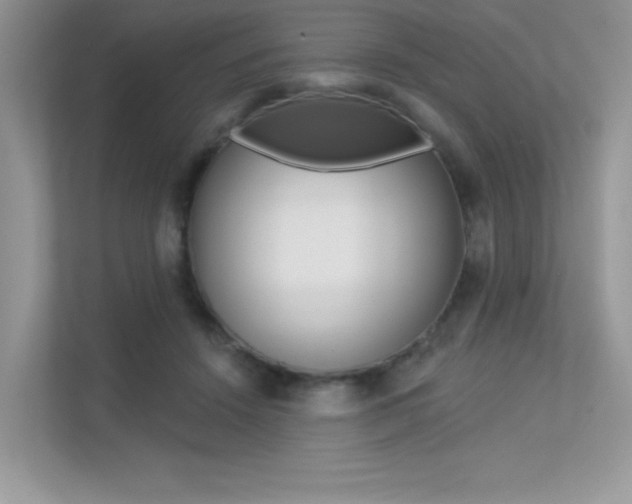 X0000113320456200909140950