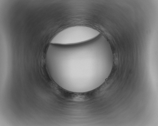 X0000113320471200909140950
