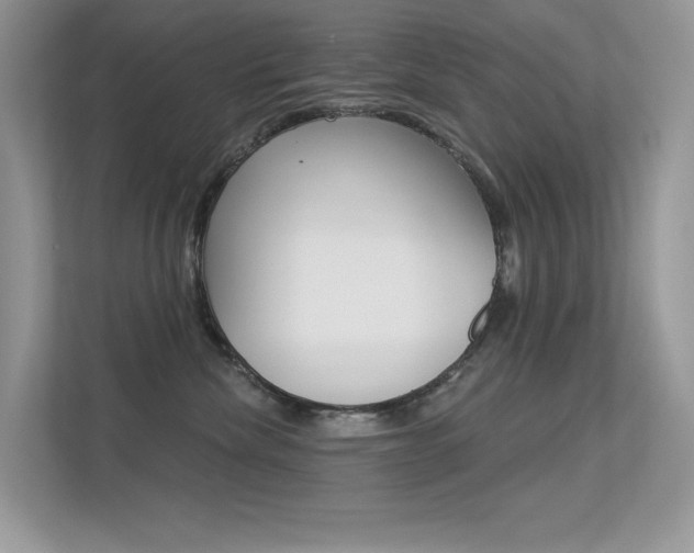 X0000113320476200909140950