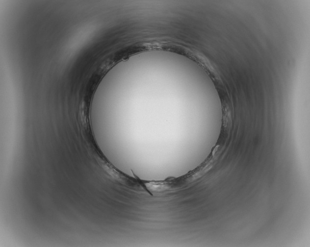 X0000113320477200909140950