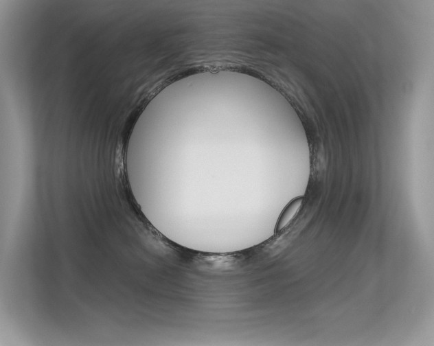 X0000113320478200909140950
