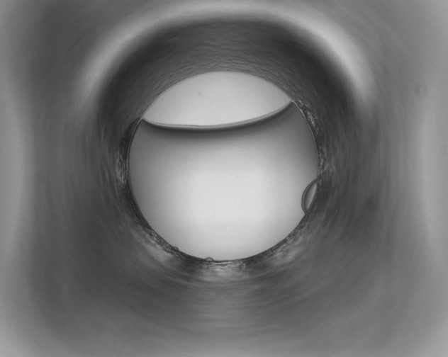 X0000113320479200909140950