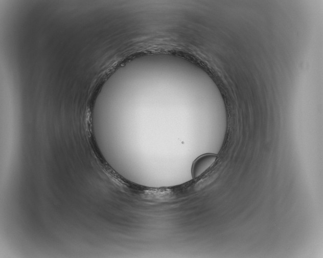 X0000113320480200909140950