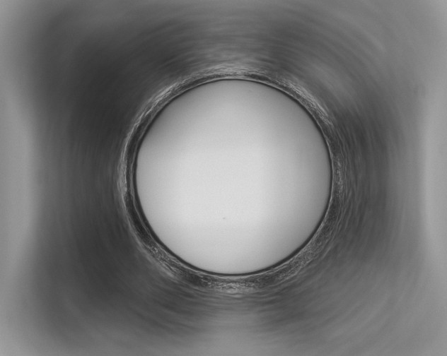 X0000113320486200909140950