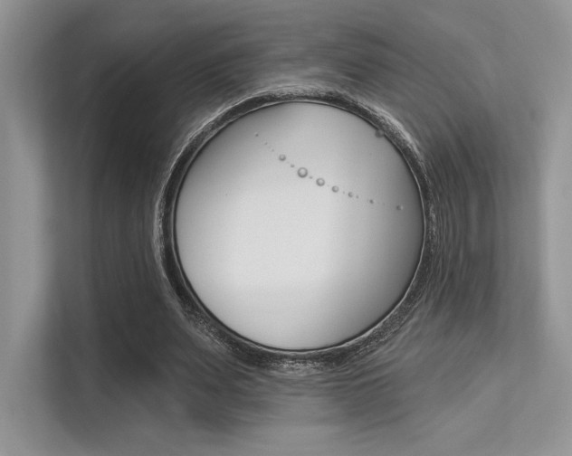 X0000113320487200909140950