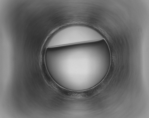 X0000113320488200909140950