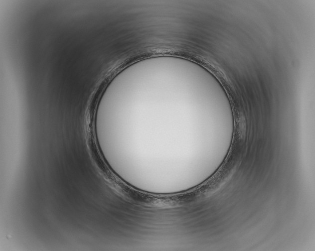 X0000113320490200909140950