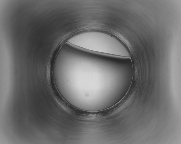 X0000113320493200909140950