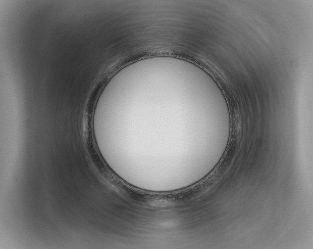 X0000113320494200909140950