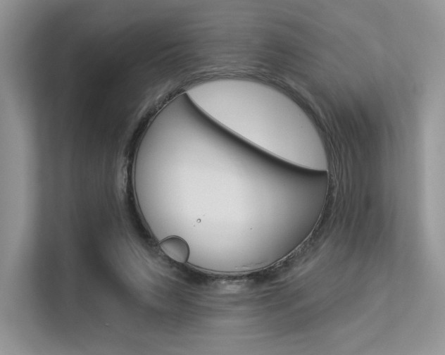X0000113320495200909140950