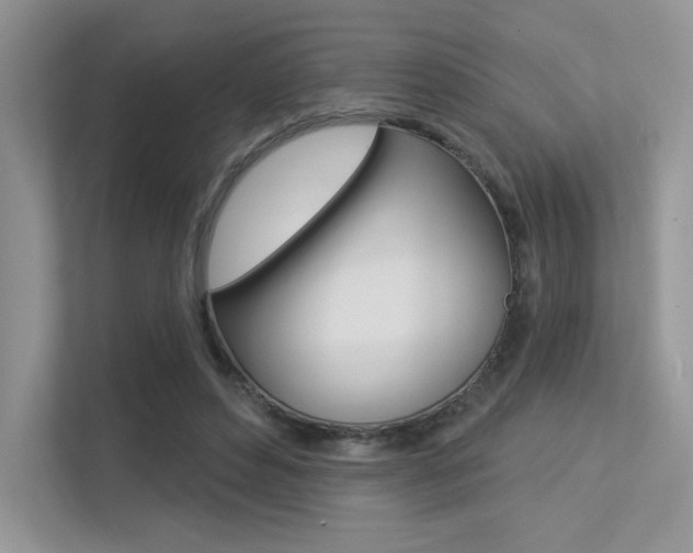 X0000113320496200909140950