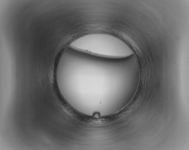 X0000113320497200909140950