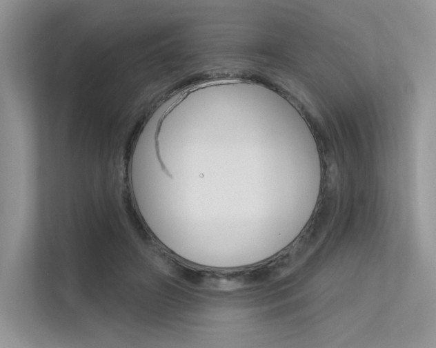 X0000113320498200909140950