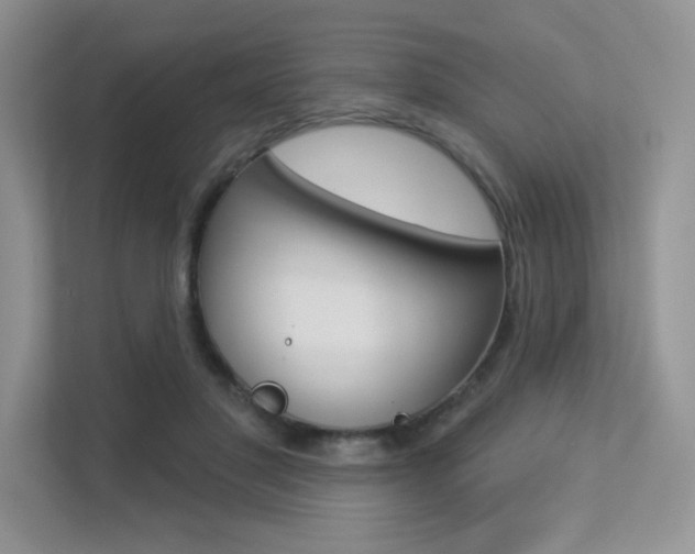 X0000113320501200909140950