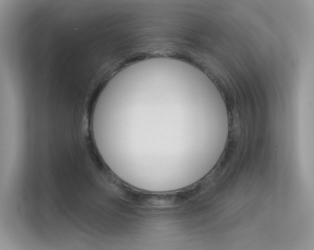 X0000113320502200909140950