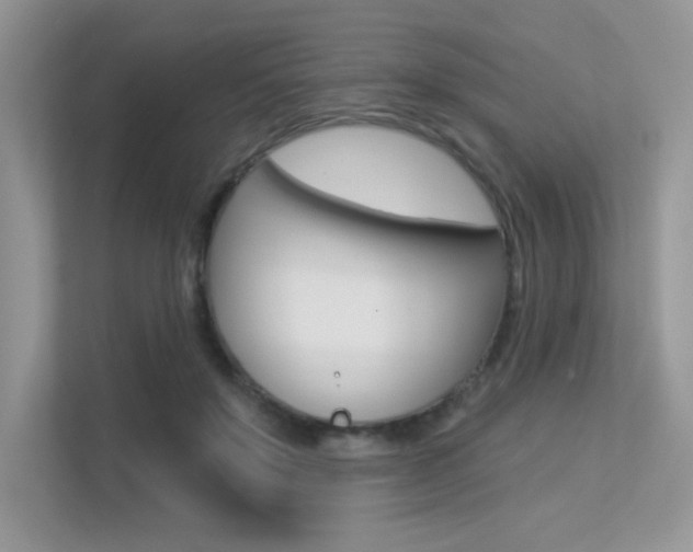 X0000113320503200909140950