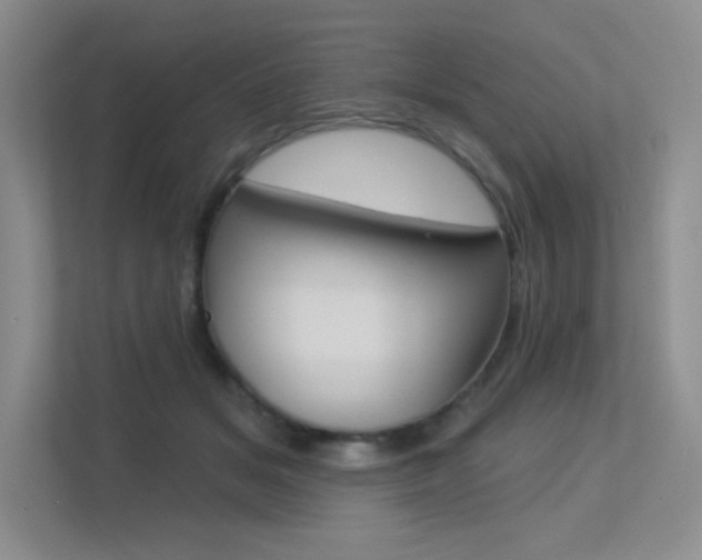 X0000113320509200909140949