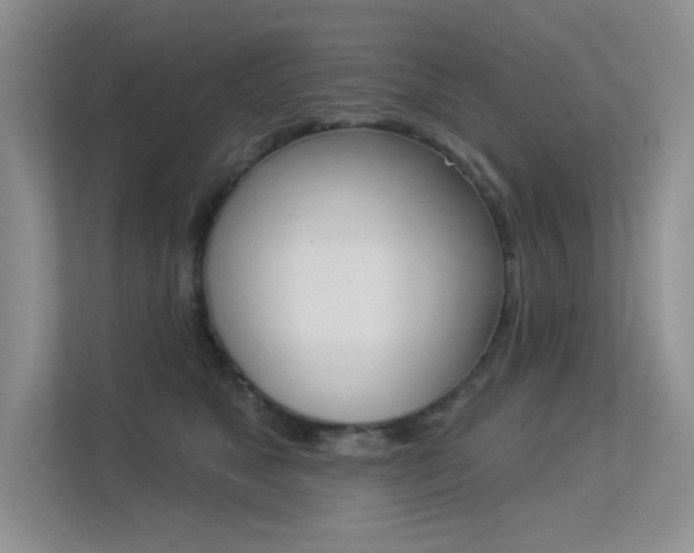 X0000113320517200909140949
