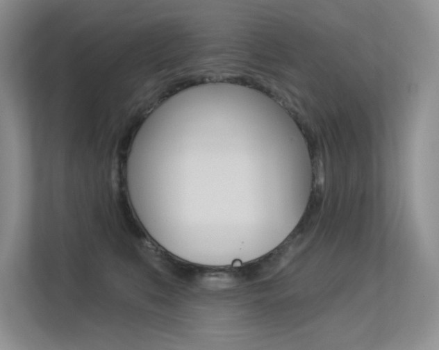 X0000113320519200909140949