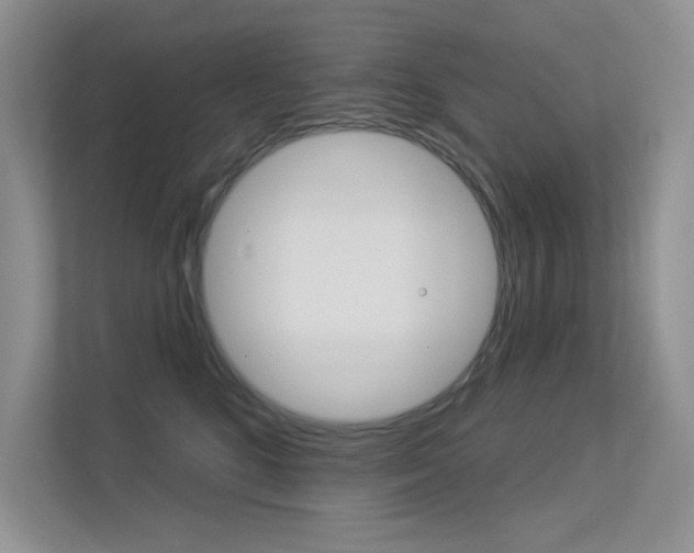 X0000113320520200909140949