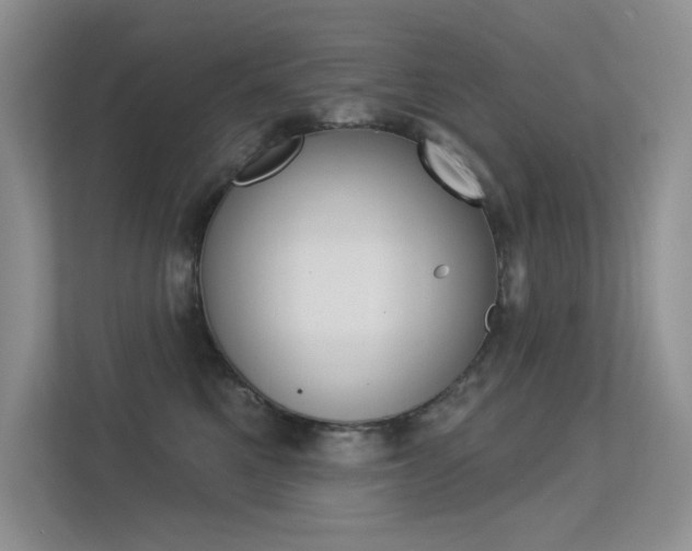 X0000113320521200909140949