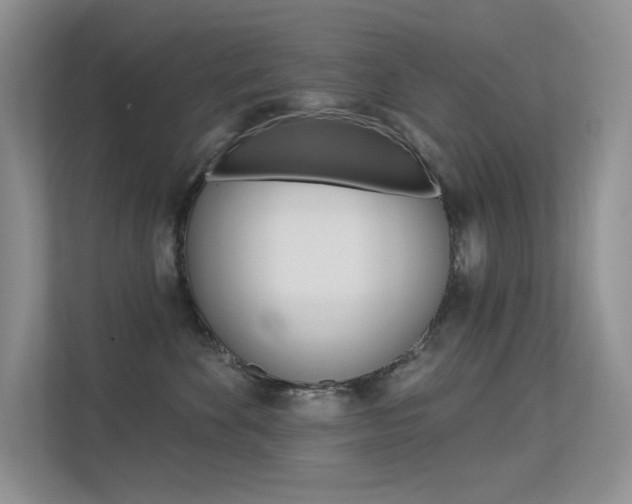X0000113320524200909140949