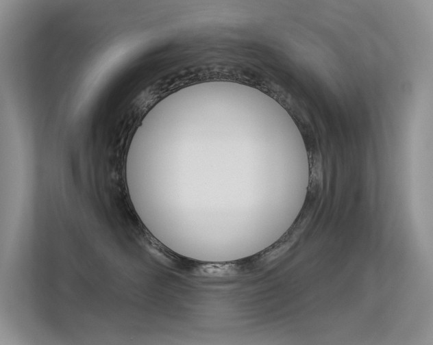 X0000113320526200909140949