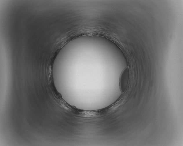 X0000113320528200909140949