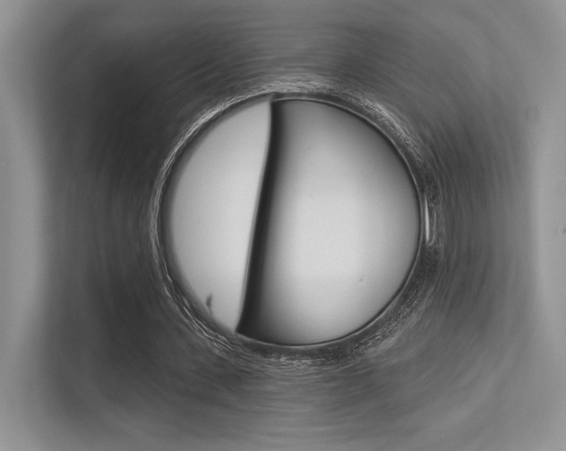 X0000113320531200909140949