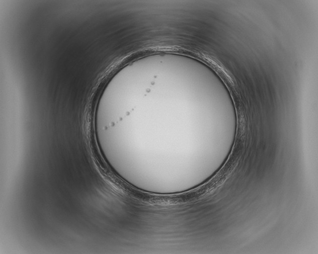 X0000113320533200909140949