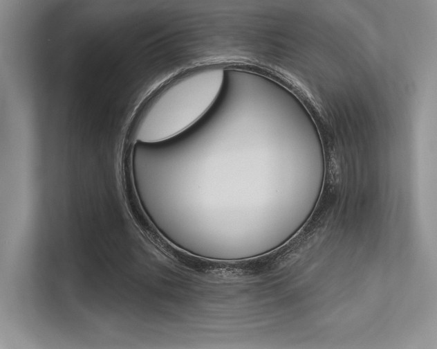 X0000113320535200909140949