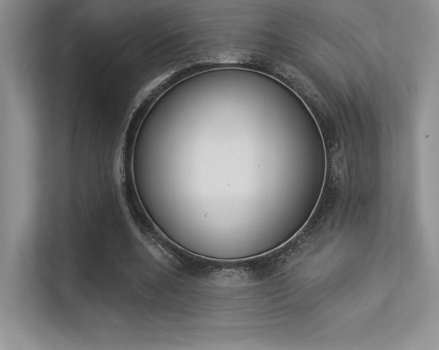 X0000113320536200909140949