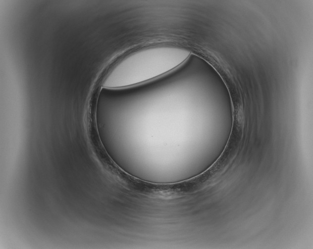 X0000113320540200909140949