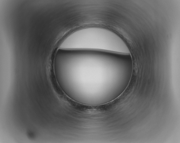 X0000113320544200909140949