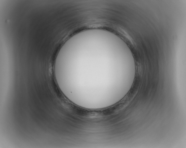 X0000113320549200909140949