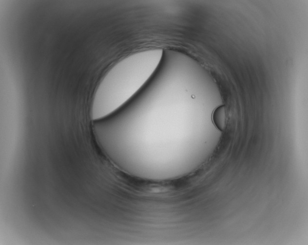 X0000113320555200909140949