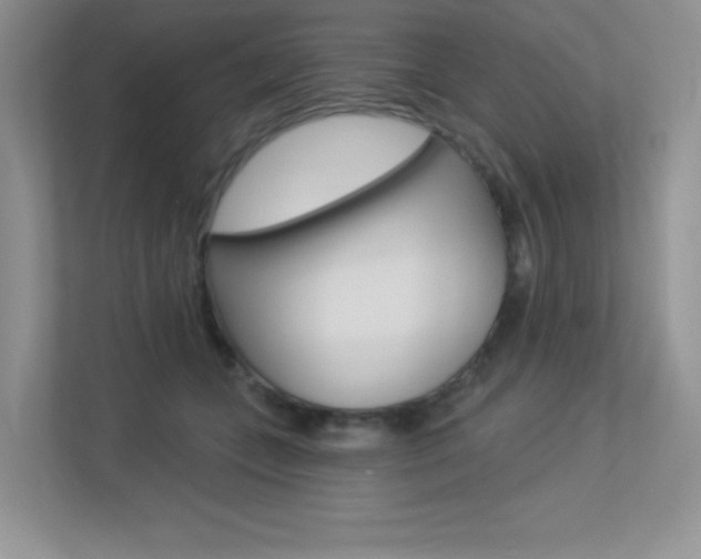 X0000113320559200909140949