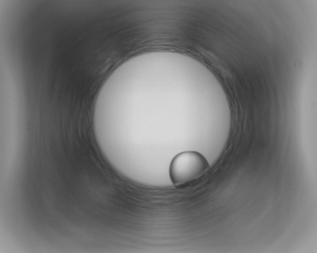 X0000113320560200909140949
