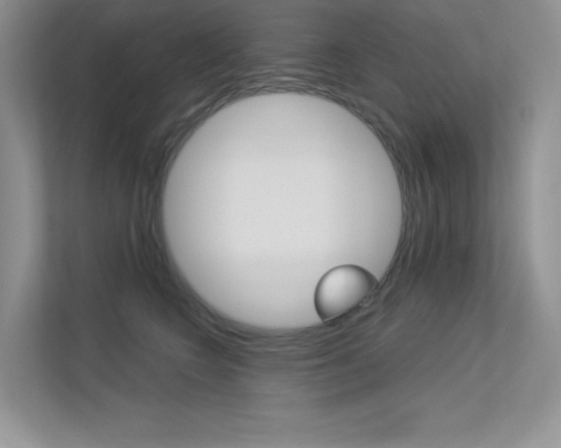 X0000113320566200909140949