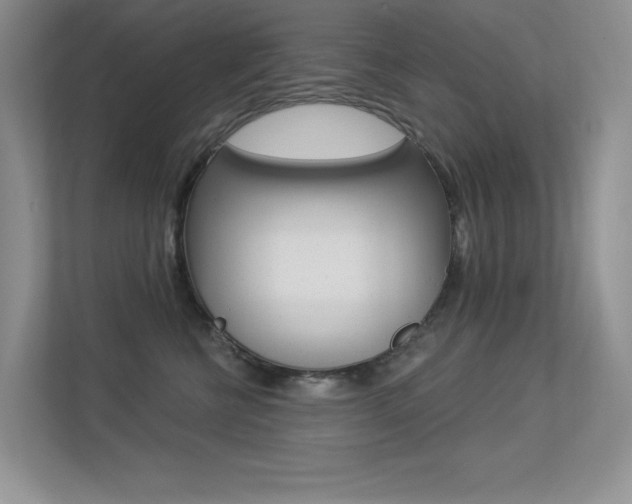 X0000113320570200909140949