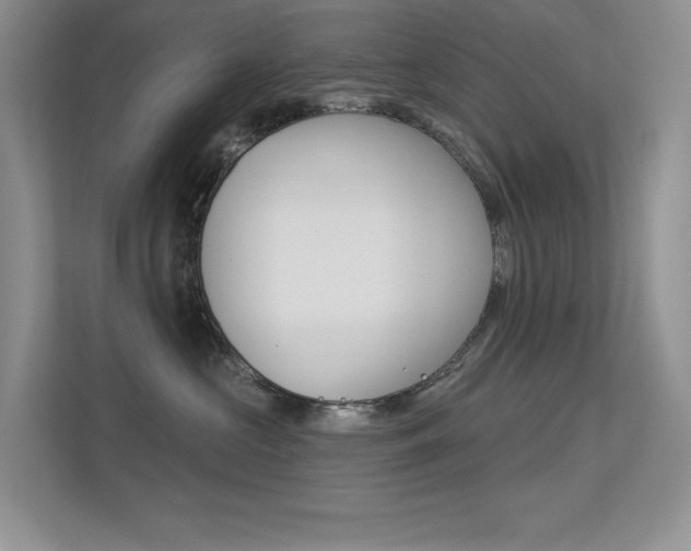 X0000113320573200909140949
