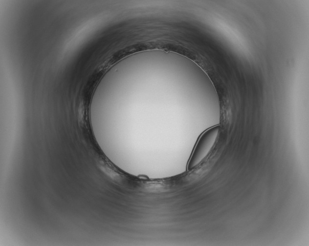 X0000113320574200909140949