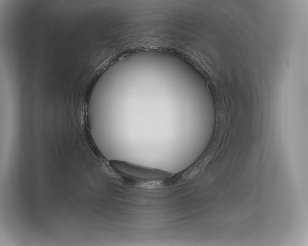 X0000113320576200909140949