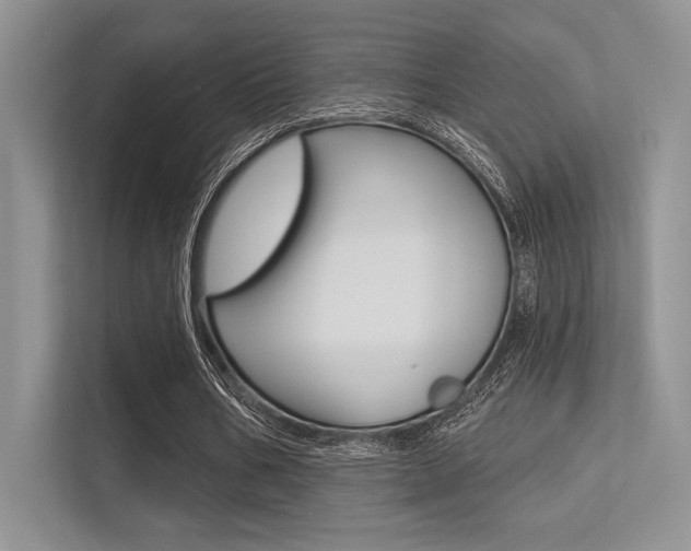 X0000113320578200909140949